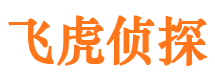 三亚市婚外情调查